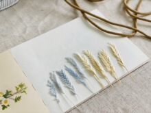 ���������ı������������������������������ָdiy��������F�z