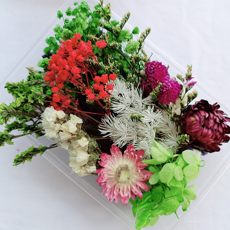 Festival bricolaje hecho a mano material de flor eterna planta flor seca florero flotante aromaterapia flor seca abanico de material paquete al por mayor