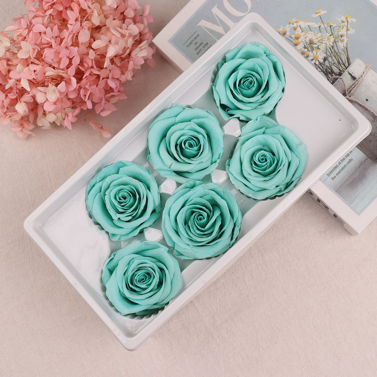 Rosa Preservada A+ de 5-6 cm, Flor Real Seca, Regalo DIY, Venta al por Mayor de Yunnan, Ramo para el Día de la Madre, 520