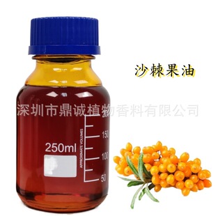 �����A�͡�ɳ�����ͳ��R����ȡɳ����HIPPOPHAE RHAMNOIDES������