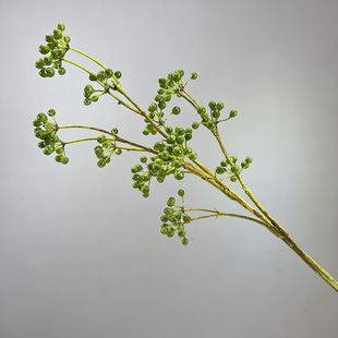 ���R�d���滨���l�ߙn�bٻ����ٹ��Ҿ��b͏d�zӰ�Ӱ��g�[��