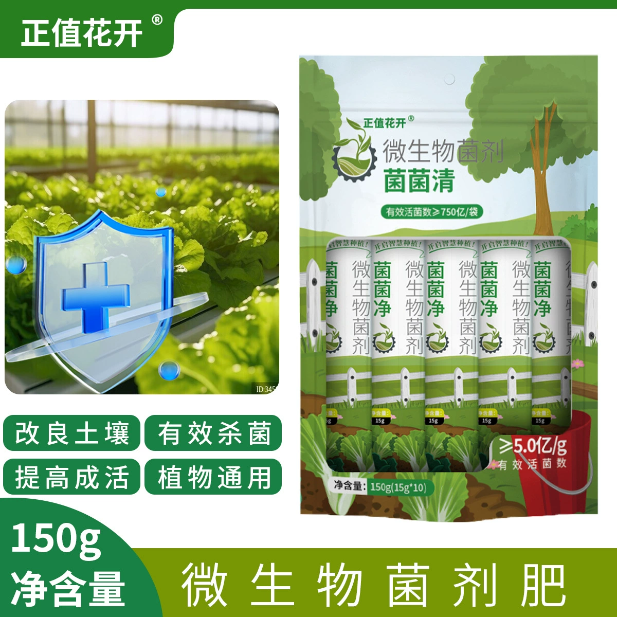 Новая модель бактерии чистый подлинный Bacillus subtilis микробный агент на открытом воздухе балкон