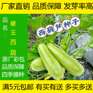 �����J�������ļ��N�Ӳ������J���J�N���ѾGƤ���＾��
