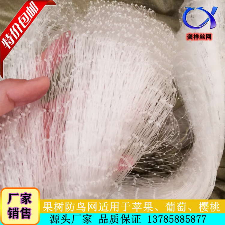 果园防鸟防护网A赣州果园防鸟网防护网A果园防鸟防护网厂家加工