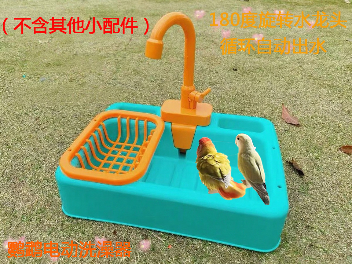녹색 앵무새 목욕 전용