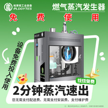 液化气蒸汽锅炉商用免报检采暖蒸煮热水天然气锅炉燃气蒸汽发生器