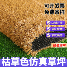 �ն��Sɫ�����ƺ��̺����ͥԺ����쾰�b؉|�˹������ϼٲ�Ƥ