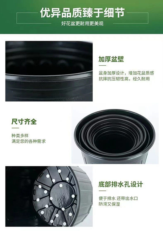 5393ff3c-4511-44ee-9713-b5084be8bd29.jpe