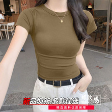 春夏薄款女士半袖体恤内穿螺纹减龄气质修身打底衫基础款清凉上衣