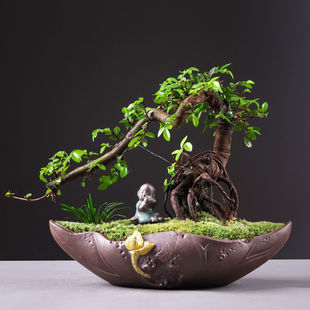 ����ֲ��lؔ������ȥ��ȩ�͏d�k���҃������_�I�Ҹ���GֲС�辰