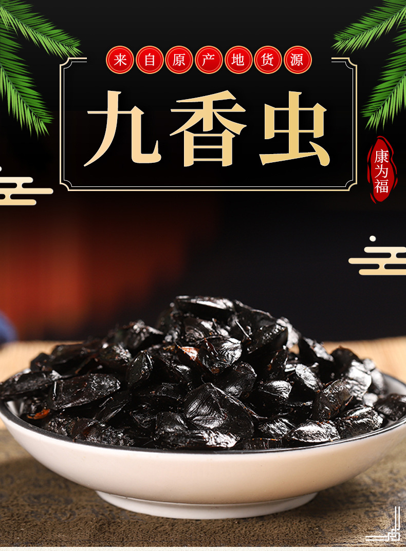 Jiu Xiang Chong (Aspongopus chinensis) — Dried TCM Herb, 500g Powder overview