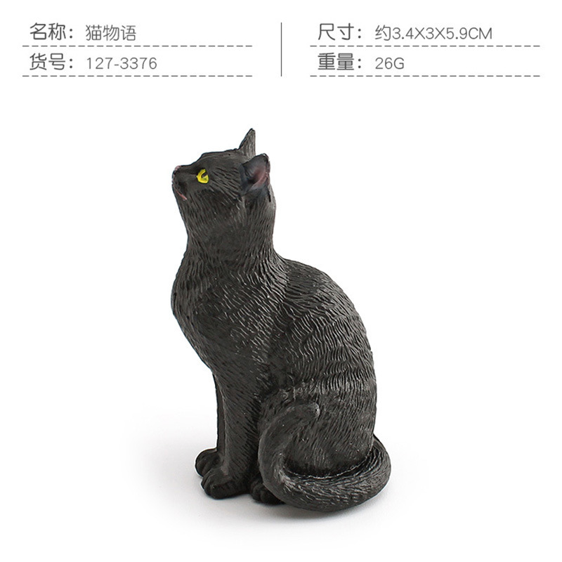 Pl127 - 3376 CAT Story 26g