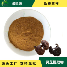 破壁灵芝孢子粉 食品级原料 灵芝孢子粉 棕色精细粉末 1kg起订