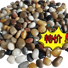 �Ͼ��껨ʯ��Ȼ������С�������·50��ͥԺ�b��쾰����Z��ʯ��