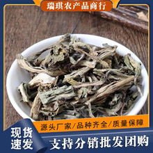 大青叶中药材新货散装板蓝根叶板兰根叶子大青叶茶叶粉食用中草药