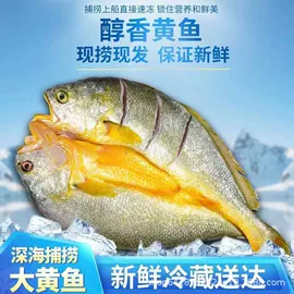 海带;海参;水产干货类