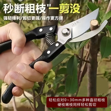 ¿P䓼ӹ֦ûľ޼@ˇl