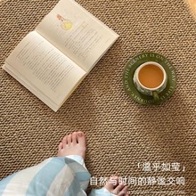 新款剑麻地毯客厅卧室茶几毯猫抓板脚垫可裁剪入户门玄关脚垫批发