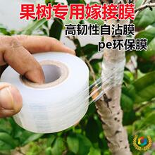 ?pe纏繞膜小卷5cm6cm嫁接膜電線膜打包裝膜拉伸工業保鮮外賣封口