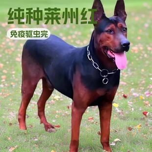 ���N�R�ݼtȮ��Ȯ���w�����K�t�������Ȯ����Ȯ�o�lȮ����Ȯ