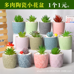 Succulent Ceramic Flower Pot Dehua Creative Mini Thumb Succulent Simple Morandi Macaron Breathable Green Plant Pot