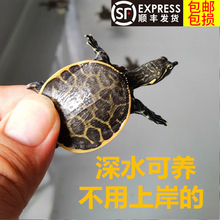 ���A�M�����^�p��ˮ���~�������~�S�~���������M�猙����ˮ����