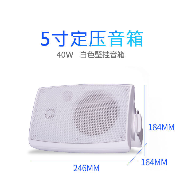 先科吸頂音響商用店舗室内吊り壁吊りボールスピーカー天井スピーカー埋め込み式スピーカー|undefined