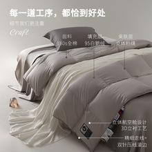 高端95%白鹅绒羽绒被优质吊吊绒被芯子厂家批发全棉加厚鹅绒被子