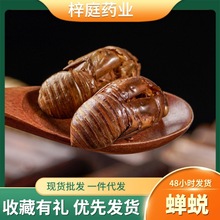 �����r�aƷ�s͑����ˮϴ�s�� ֪��Ƥ ��ș���s͑ �s͑�� ���ʹ��