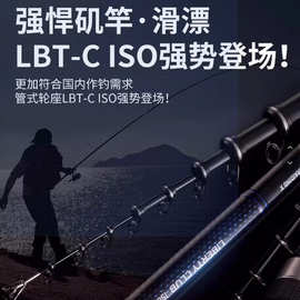 达亿瓦DAIWA矶风LBT4.5/5.3米矶钓竿钓鱼竿鱼竿渔具硬调轮座碳素