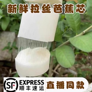 ��S��ȻҰ���Ž��U���˰Ž����㽶�U�o���Ľ��o���ĳ��˳�2���b