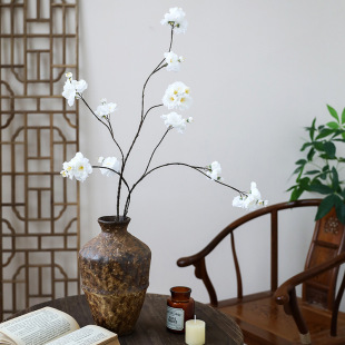 �D÷���滨�ѻ��ٻ����Ļ��Ҿ�����ʽ�b��һ��[�����͏d��c����