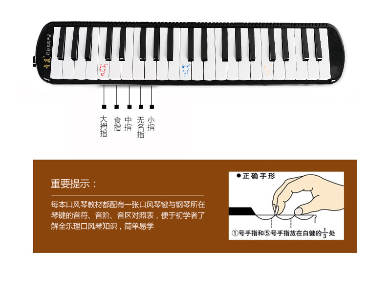 41键口风琴_08.jpg