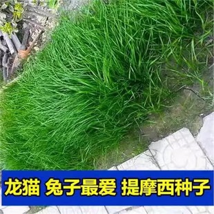沭阳一种一芽农业科技有限公司