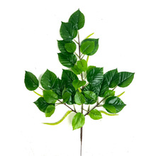 仿真植物水青冈叶绿植假树叶水青杠树叶园林工程造景装饰厂家批发