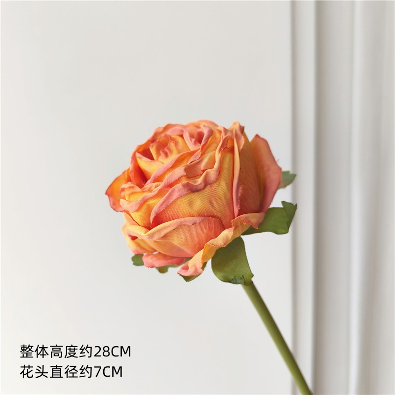 오렌지 드라이 브레이징 리틀 로즈