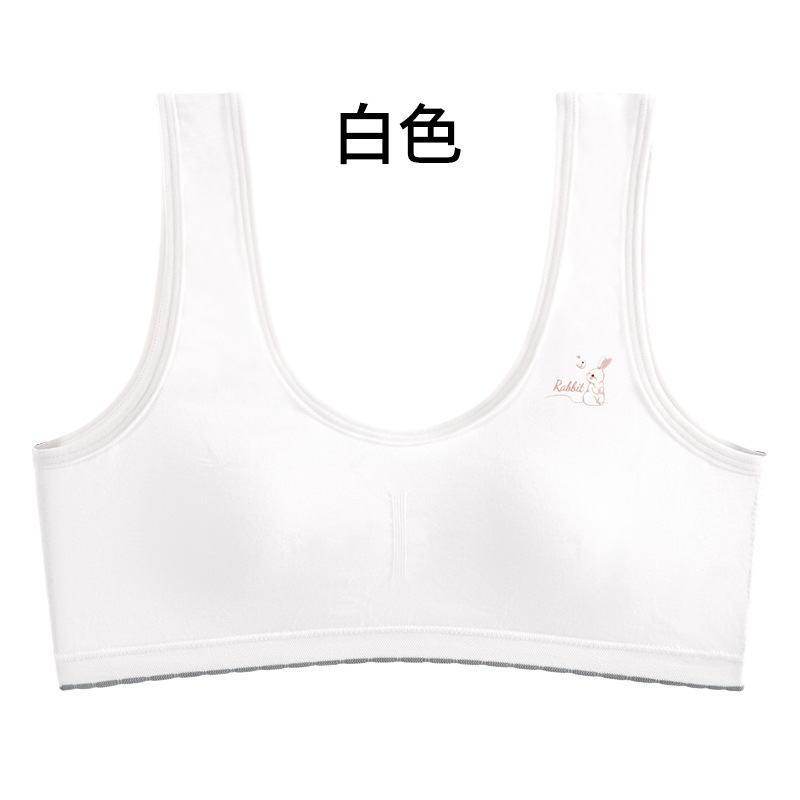 화이트