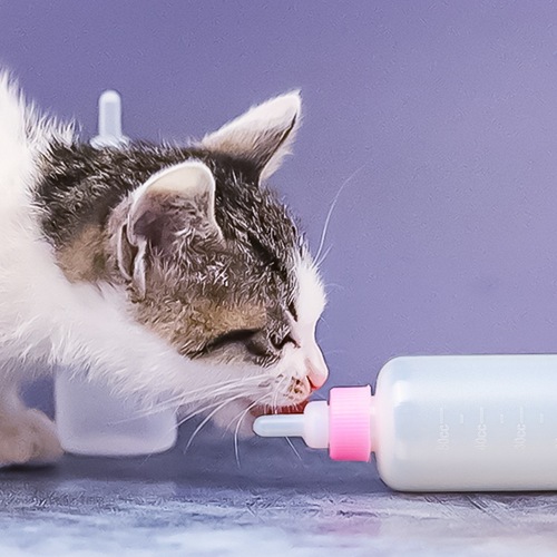 Pet Supplies Cat Bottles Kitten Bottles Kitten Newborn Pets Puppy Feeders Cat Supplies Pet Pacifiers