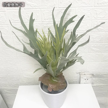 植物墙布置绿植假花仿真植物饰品生态摆件铁树叶兰花草造景用品