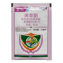 �ʰ�  ϩ��ͪ 20�� �� �Ͳ���������̱����s�ݳ��݄�