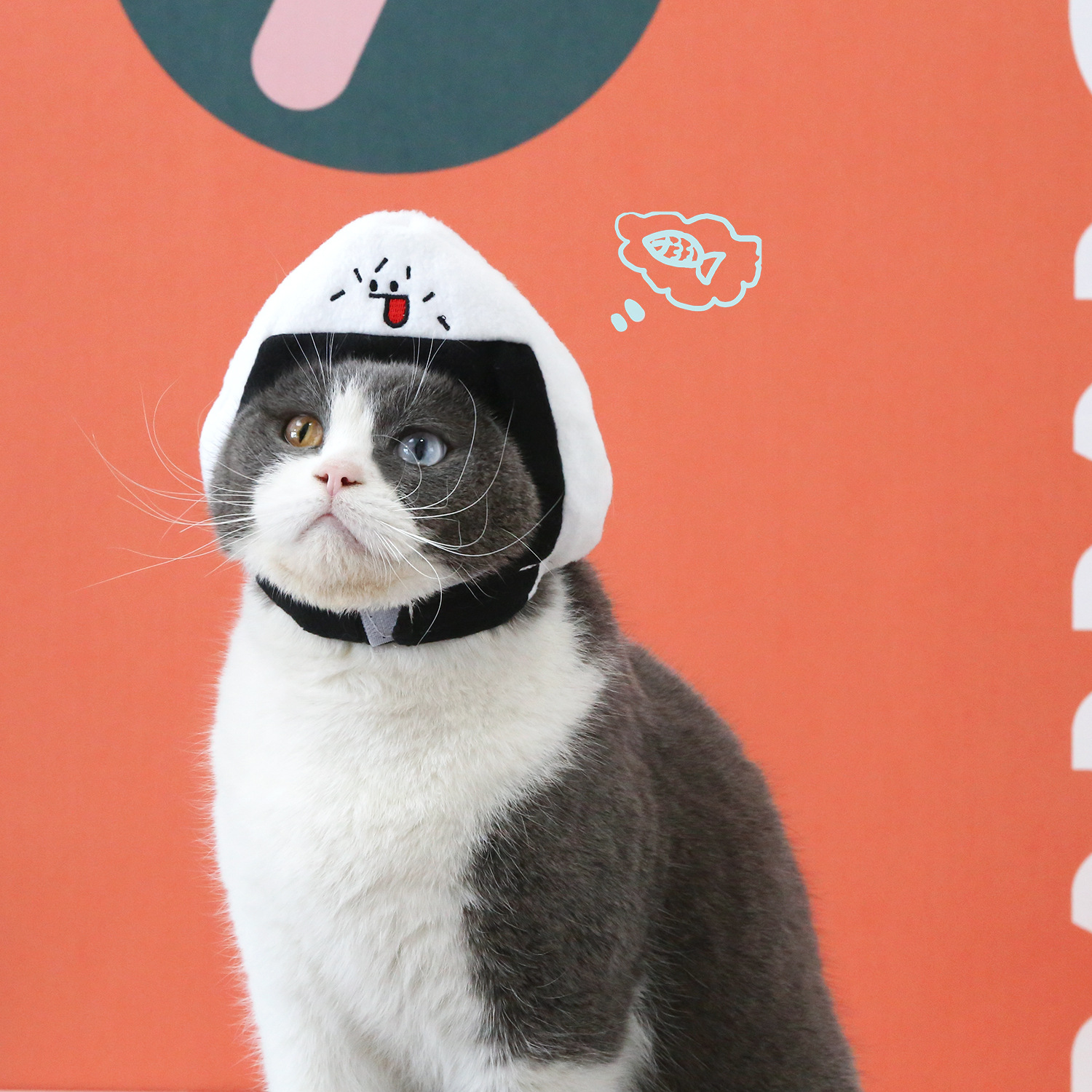 Pargo japonés estofado bola de arroz para mascotas sombrero gato cachorro Internet celebridad felpa comida dibujos animados divertido sushi sombrerería caliente