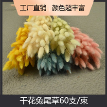 �û��ɻ���β��60֧/���p�ݻ����滨�[��������С���Y���滨����