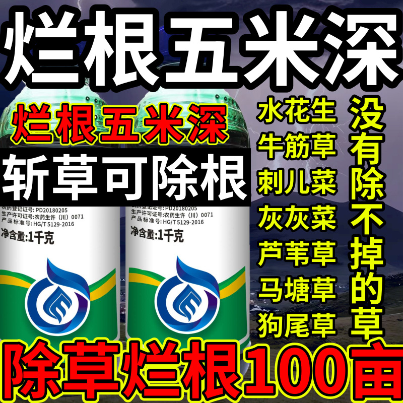 烂根五米深高浓度精草铵膦铵水花生牛筋草斩草除根杂草烂根除草剂