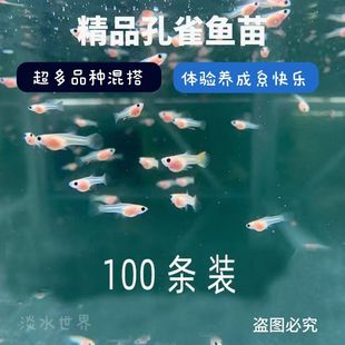 ��ȸ�~�^�p�~��С�~�ͻˮ�Ꭷ���BС�͟������B�Pβ�����~�羳