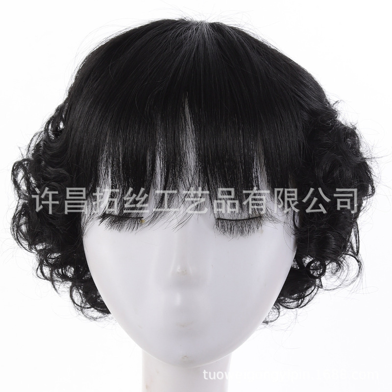 Full Head Wig for Women, Natural Short Curly Hair, Suitable for Middle-Aged and Elderly Ladies, High-End and Elegant Style with Bangs Full Head Wig for Women, Natural Short Curly Hair, Suitable for Middle-Aged and Elderly Ladies, High-End and Elegant Style with Bangs