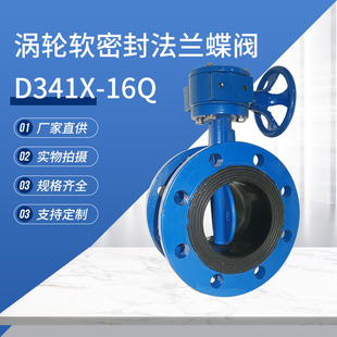 �����ԁ�ˮ�u݆ܛ�ܷ��T�F���m���y D341X-16Q DN100������������