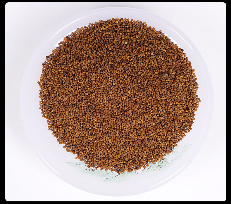 Tu Si Zi (Cuscuta chinensis) — Dried Food Herb Seeds, Washed & Unsulfured, 500g in use