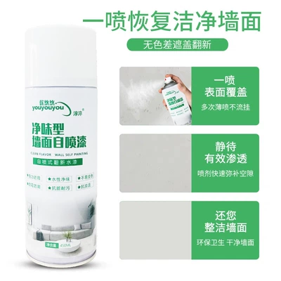 paste Wall renovation self-spray emulsion paint – Avtomobil boyası
