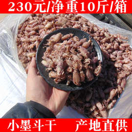 【10斤/箱】小墨斗鱼干小海兔干墨鱼干海鲜干货散装商用食用批发