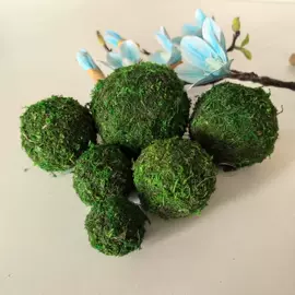 植物工艺品;木质工艺品;花盆容器